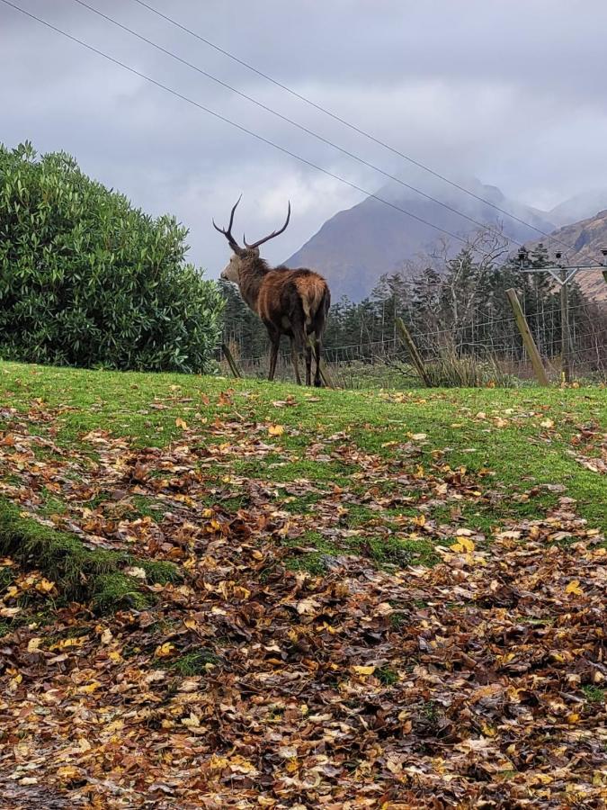 Ormasaig, Self Catering, One Mile To Town & Close To Ben Nevis Fort William Exterior foto